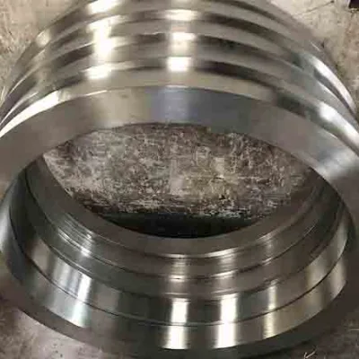 316 Stainless Steel Forging Rings