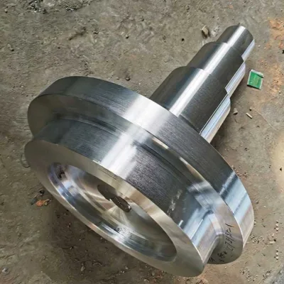 Big head shaft forgings